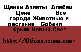 Щенки Азиаты (Алабаи) › Цена ­ 20 000 - Все города Животные и растения » Собаки   . Крым,Новый Свет